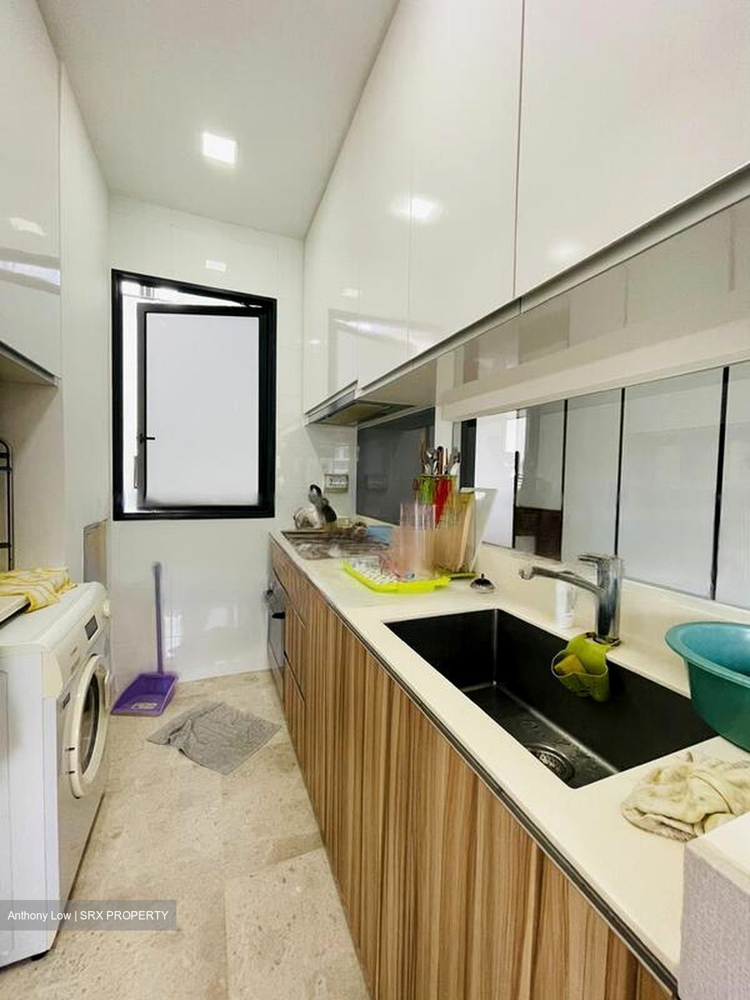 Eco Sanctuary (D23), Condominium #458900441